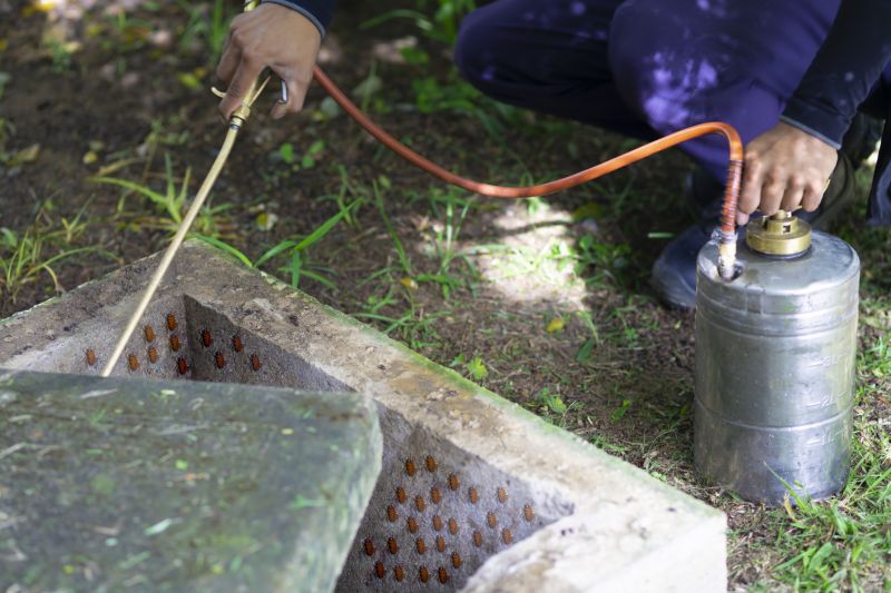Fumigation Service in Fredericksburg, VA