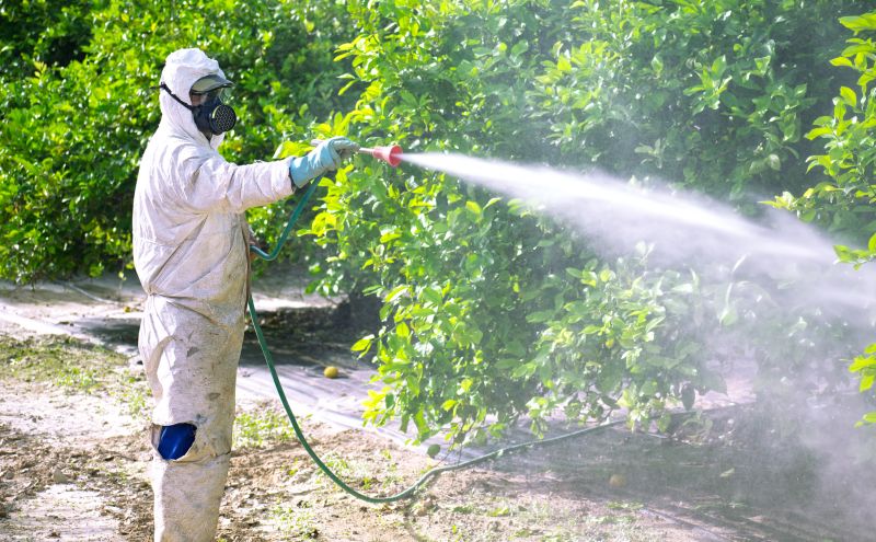 Pest Fumigation Service in Fort Myers, FL
