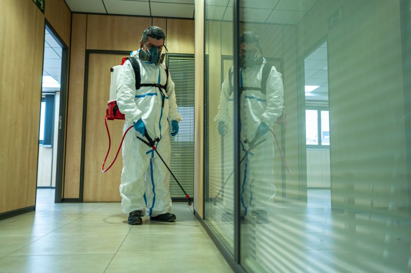 Spider Fumigation Service in Cumming, GA