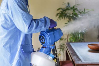 Cost of Fumigation Services — Cost of Fumigation Services