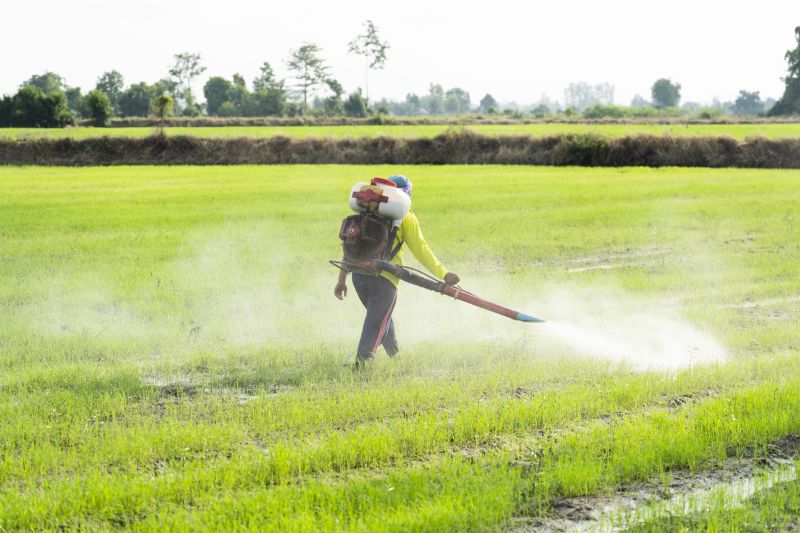 Pest Control in Progress