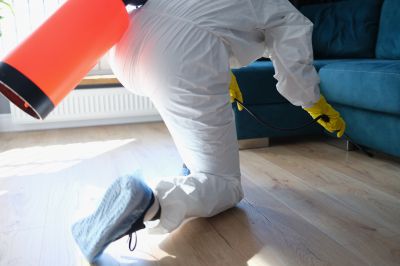 Types Of Pests That Require Fumigation Treatment